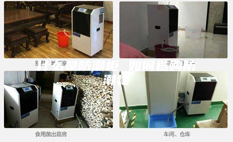 什么是防潮柜 如何选购防潮柜