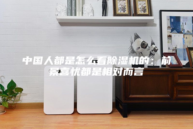 中国人都是怎么看除湿机的：前景喜忧都是相对而言