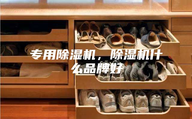 专用除湿机，除湿机什么品牌好