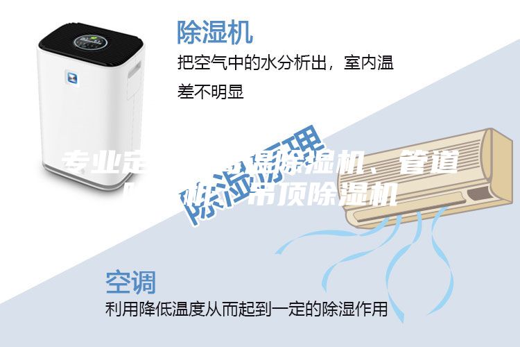 专业定做耐高温除湿机、管道除湿机、吊顶除湿机