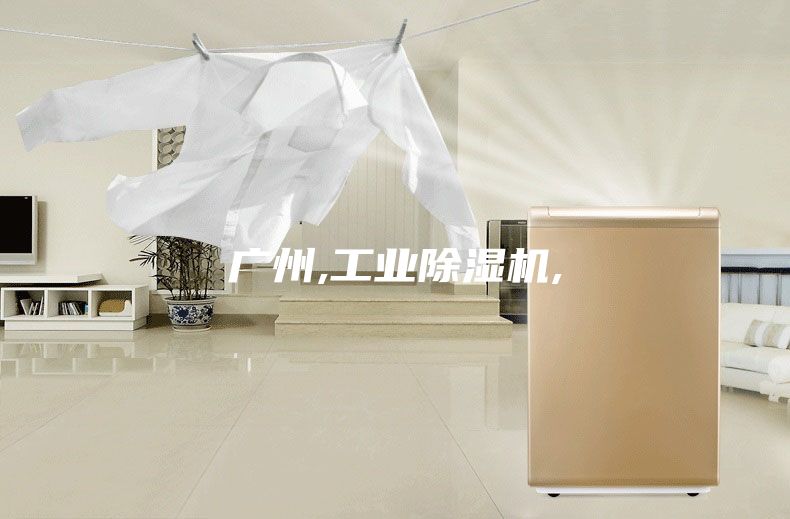 广州,工业除湿机,