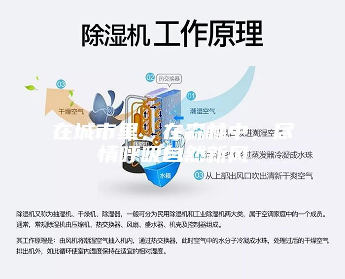 在城市里，在森林中，尽情呼吸自然新风