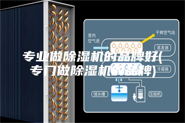 专业做除湿机的品牌好(专门做除湿机的品牌)