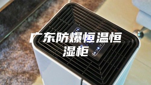 广东防爆恒温恒湿柜