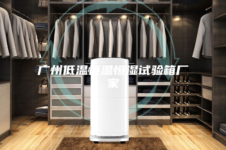 广州低温恒温恒湿试验箱厂家