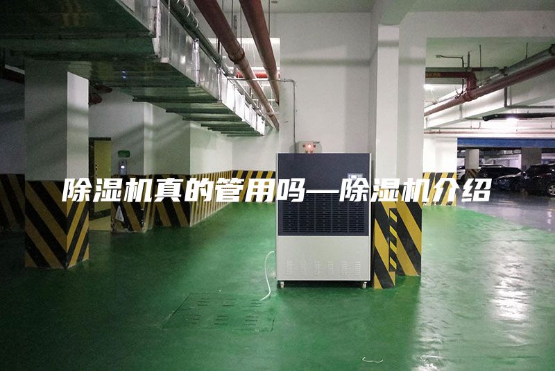 除湿机真的管用吗—除湿机介绍
