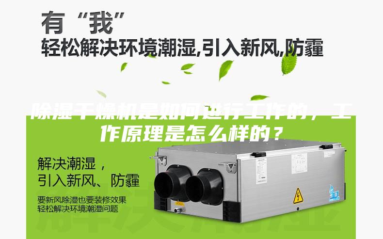 除湿干燥机是如何进行工作的，工作原理是怎么样的？