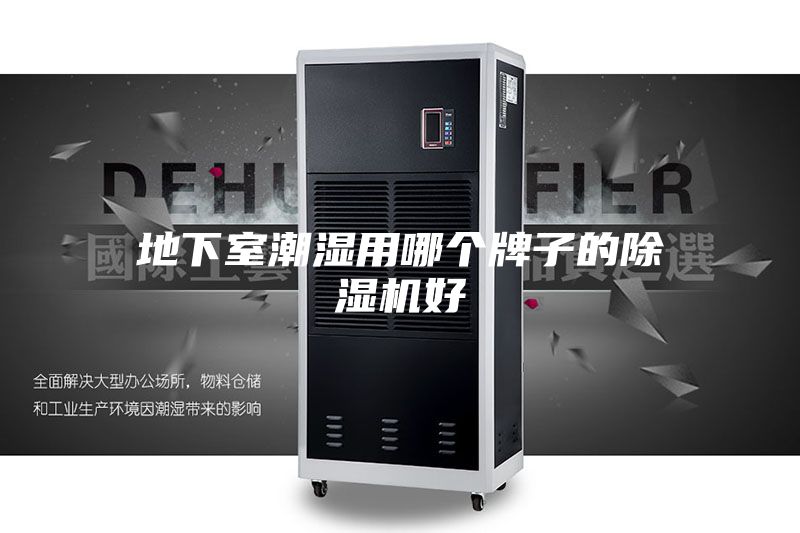 地下室潮湿用哪个牌子的除湿机好