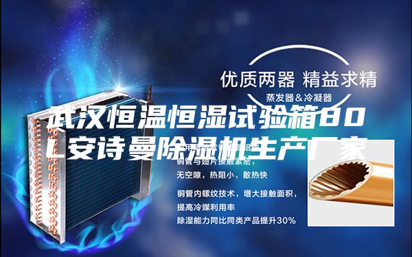 武汉恒温恒湿试验箱80L安诗曼除湿机生产厂家