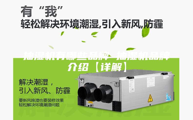 抽湿机有哪些品牌 抽湿机品牌介绍【详解】