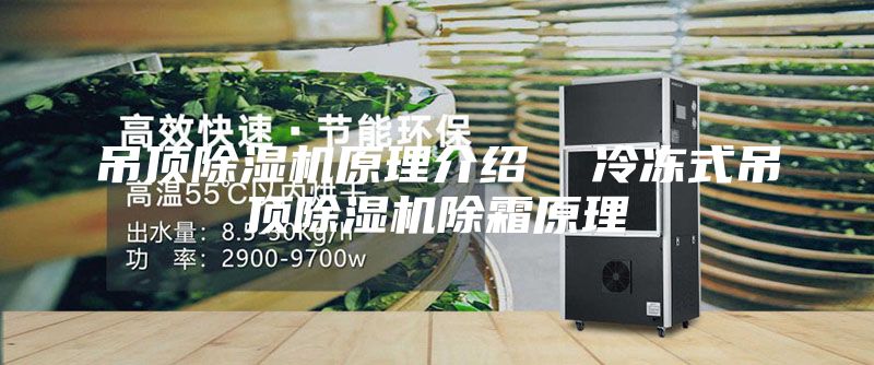 吊顶除湿机原理介绍  冷冻式吊顶除湿机除霜原理