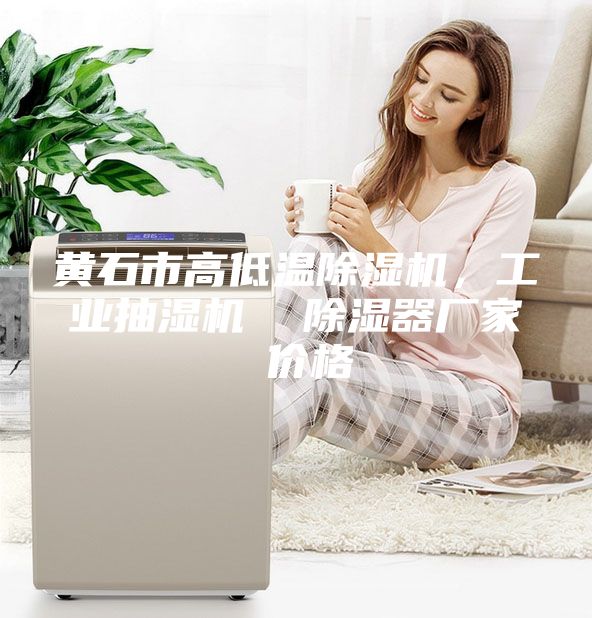 黄石市高低温除湿机，工业抽湿机  除湿器厂家 价格