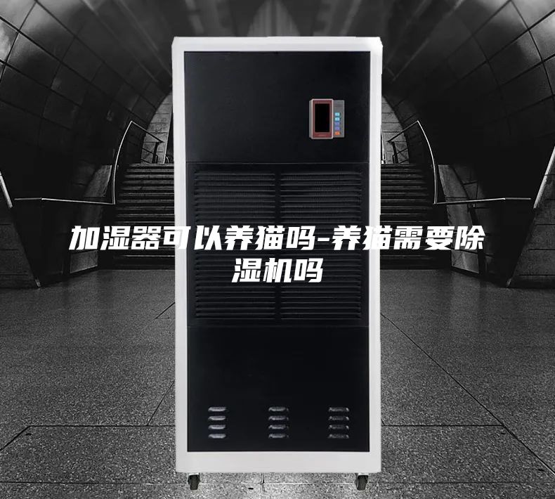 加湿器可以养猫吗-养猫需要除湿机吗