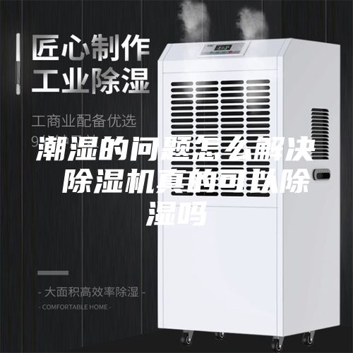 潮湿的问题怎么解决 除湿机真的可以除湿吗