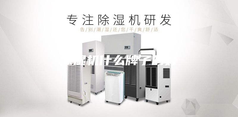 除湿机什么牌子的好