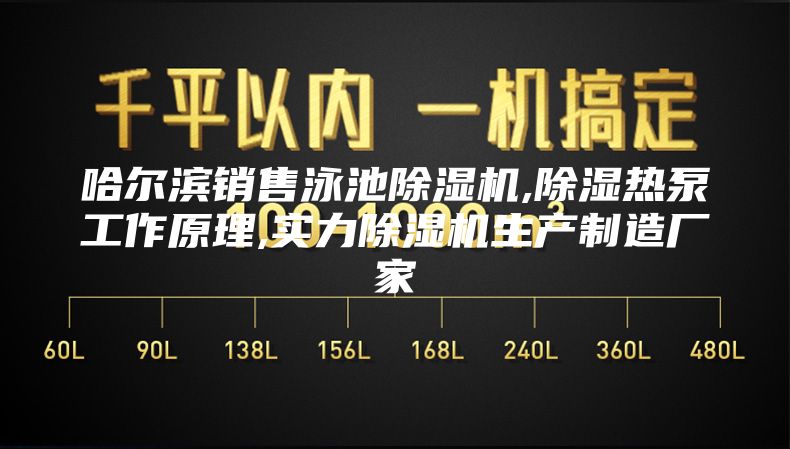 哈尔滨销售泳池除湿机,除湿热泵工作原理,实力除湿机生产制造厂家