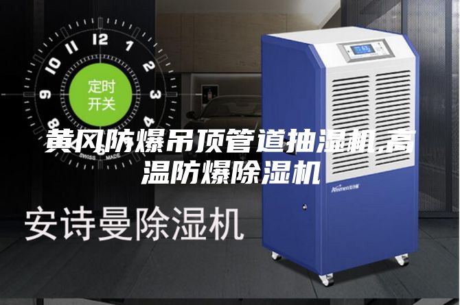 黄冈防爆吊顶管道抽湿机,高温防爆除湿机