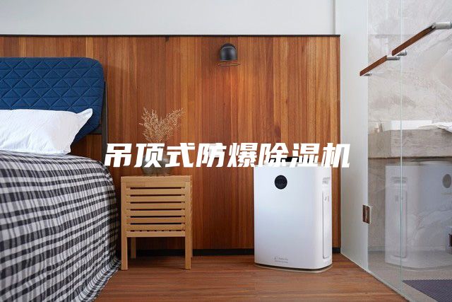 吊顶式防爆除湿机