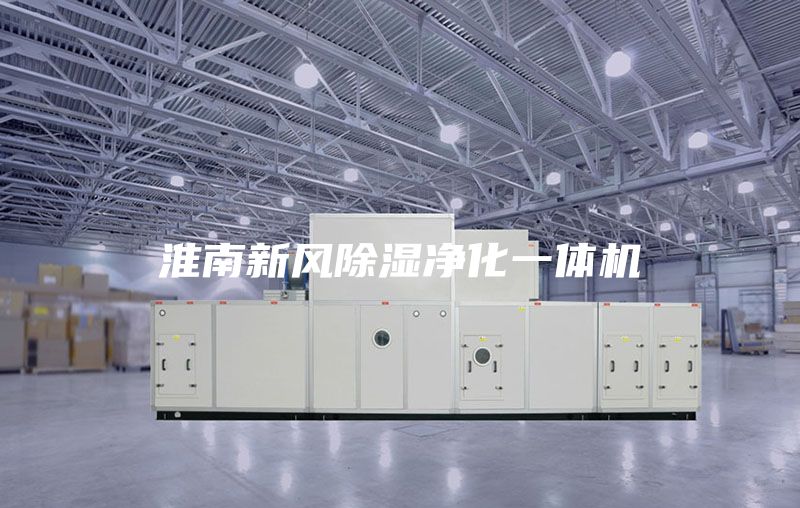 淮南新风除湿净化一体机