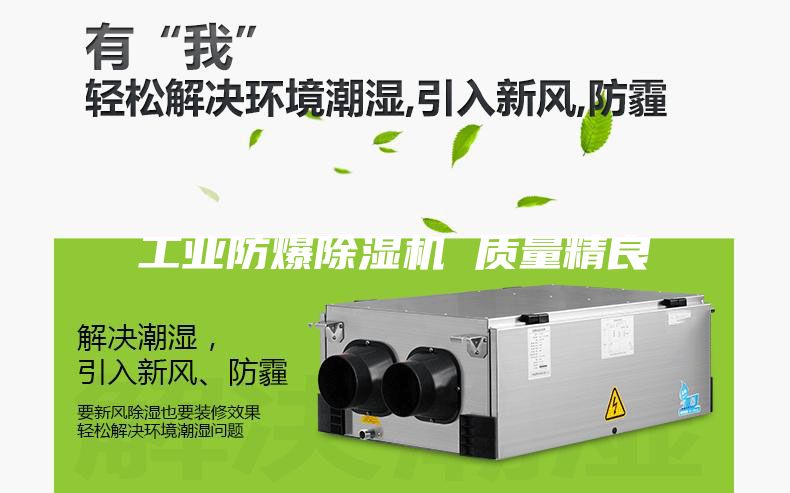 工业防爆除湿机 质量精良