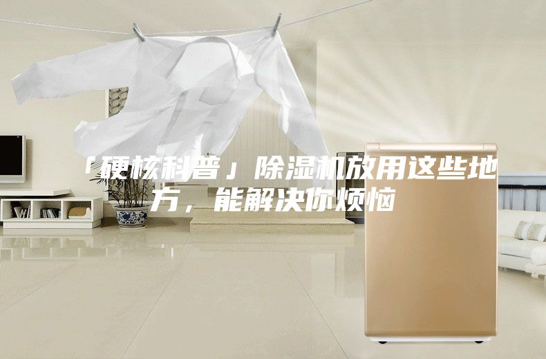 「硬核科普」除湿机放用这些地方，能解决你烦恼