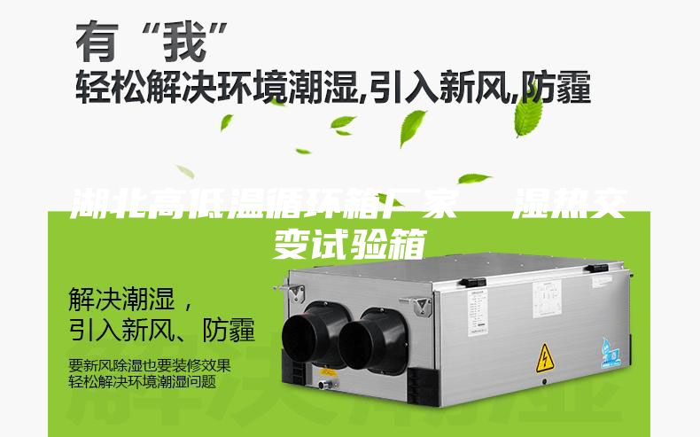 湖北高低温循环箱厂家  湿热交变试验箱