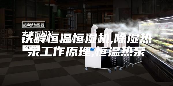 铁岭恒温恒湿机,除湿热泵工作原理,恒温热泵