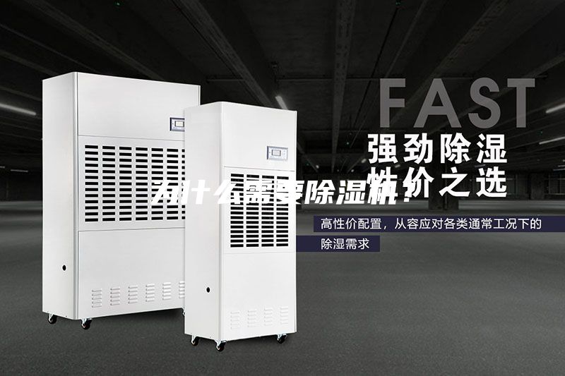 为什么需要除湿机？