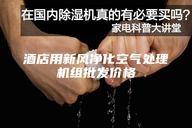 酒店用新风净化空气处理机组批发价格