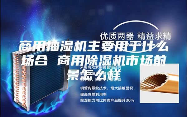 商用抽湿机主要用于什么场合 商用除湿机市场前景怎么样