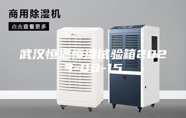 武汉恒温恒湿试验箱2023-08-15