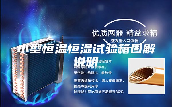 小型恒温恒湿试验箱图解说明