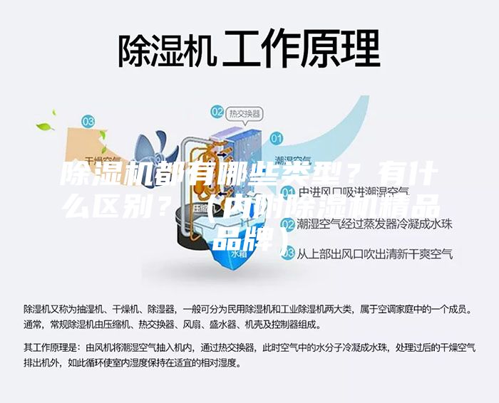 除湿机都有哪些类型？有什么区别？（内附除湿机精品品牌）