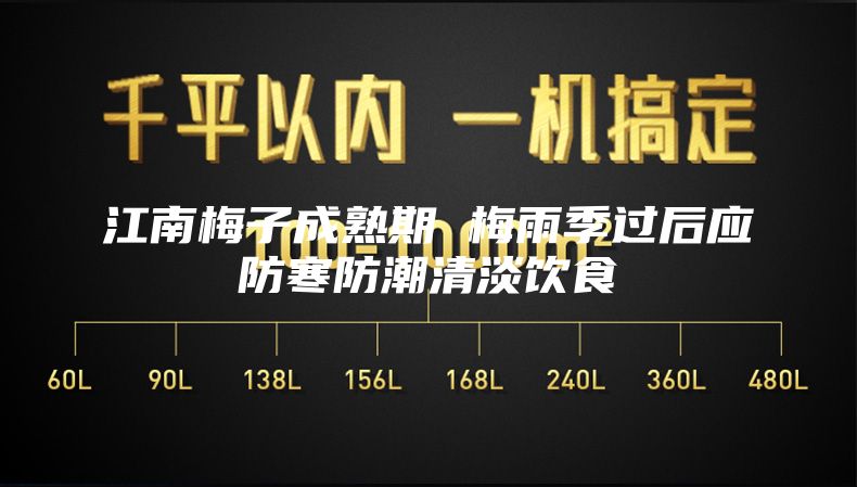 江南梅子成熟期 梅雨季过后应防寒防潮清淡饮食