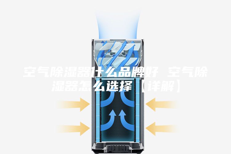 空气除湿器什么品牌好 空气除湿器怎么选择【详解】