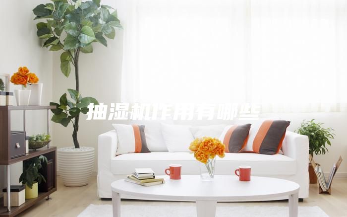 抽湿机作用有哪些