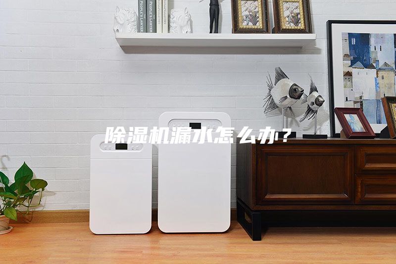 除湿机漏水怎么办？