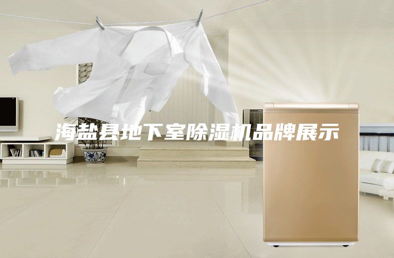 海盐县地下室除湿机品牌展示