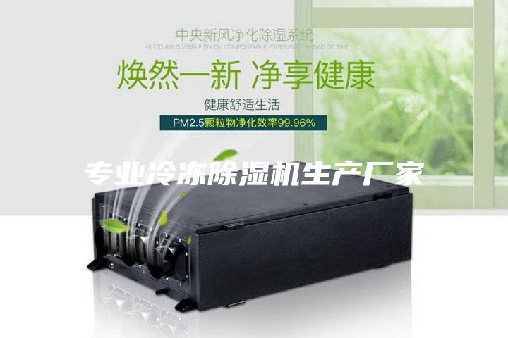 专业冷冻除湿机生产厂家