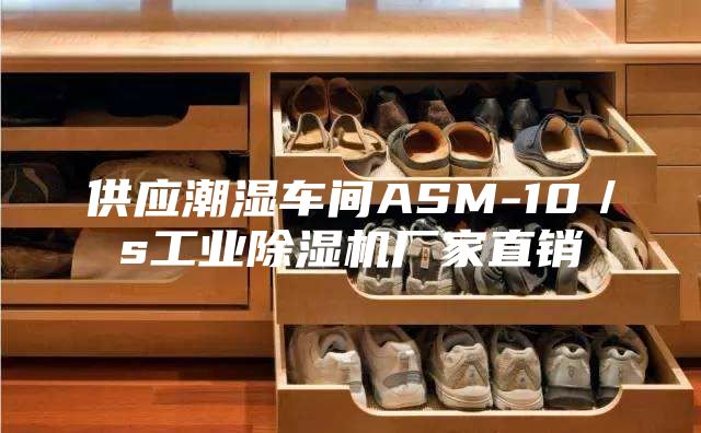 供应潮湿车间ASM-10／s工业除湿机厂家直销