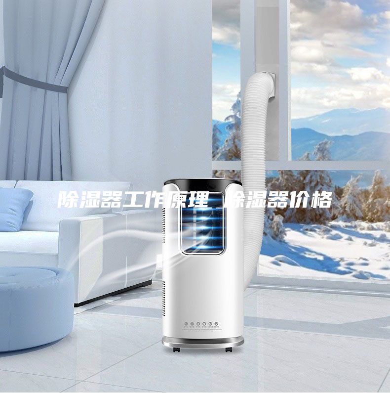 除湿器工作原理 除湿器价格