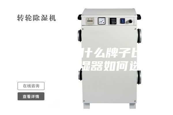 家用除湿器什么牌子比较好 家用除湿器如何选购