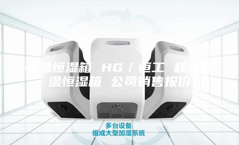 恒温恒湿箱 HG／恒工 程式恒温恒湿箱 公司销售报价