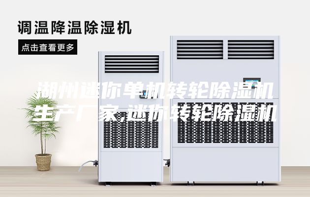 湖州迷你单机转轮除湿机生产厂家,迷你转轮除湿机