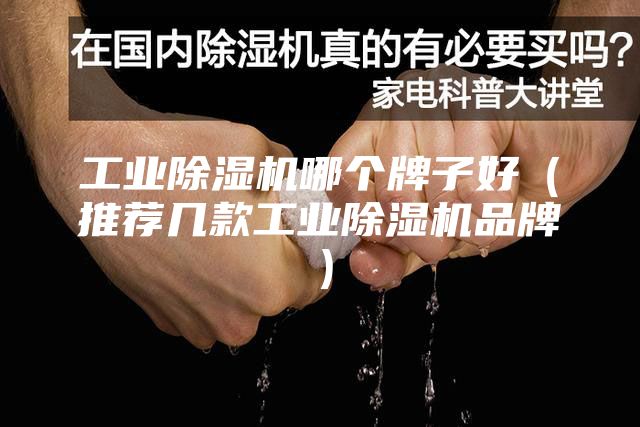 工业除湿机哪个牌子好（推荐几款工业除湿机品牌）