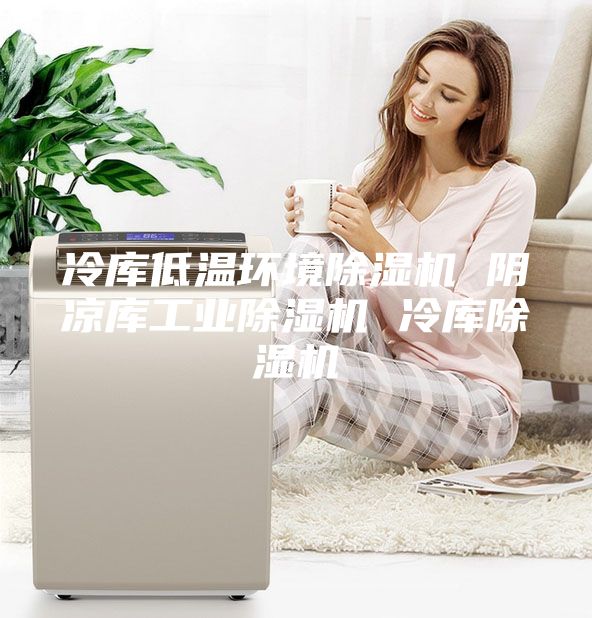 冷库低温环境除湿机 阴凉库工业除湿机 冷库除湿机