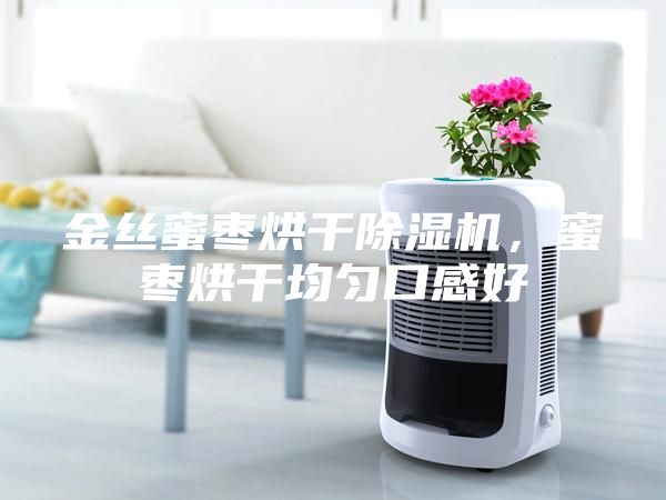 金丝蜜枣烘干除湿机，蜜枣烘干均匀口感好