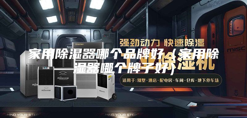 家用除湿器哪个品牌好（家用除湿器哪个牌子好）