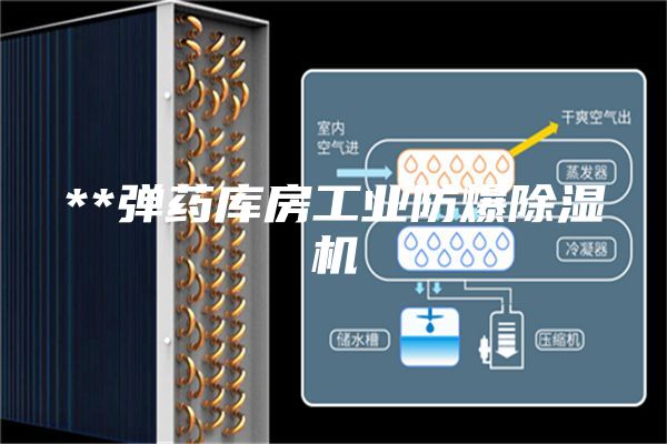 **弹药库房工业防爆除湿机