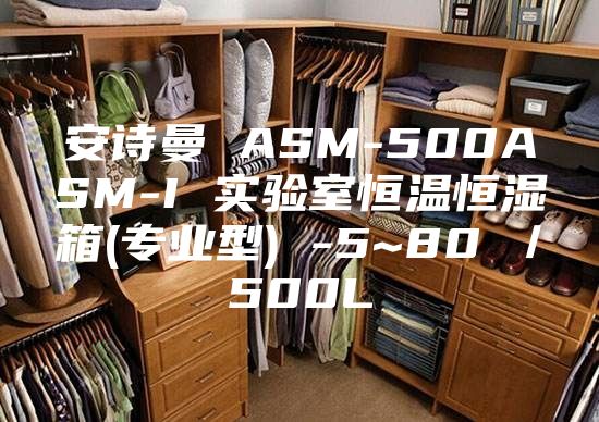 安诗曼 ASM-500ASM-I 实验室恒温恒湿箱(专业型) -5~80℃／500L